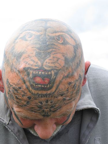 Großer Wolf Tattoo am Kopf