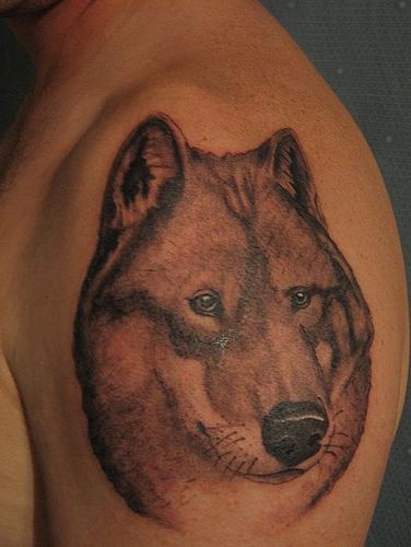 Wolf with good eyes tattoo on shoulder