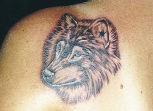 Tattoo mit braunem Wolfskopf