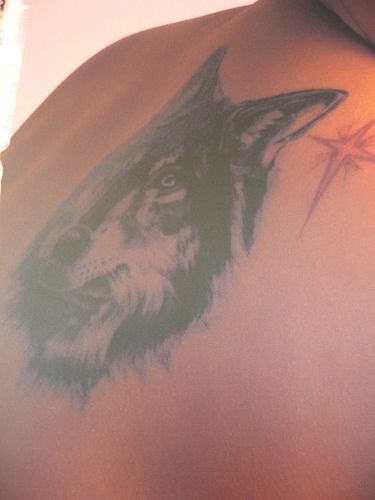 Tattoo mit großem Wolfskopf und rotem Stern