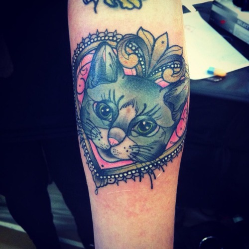 Tatuaje en el brazo, retrato de gato en el marco