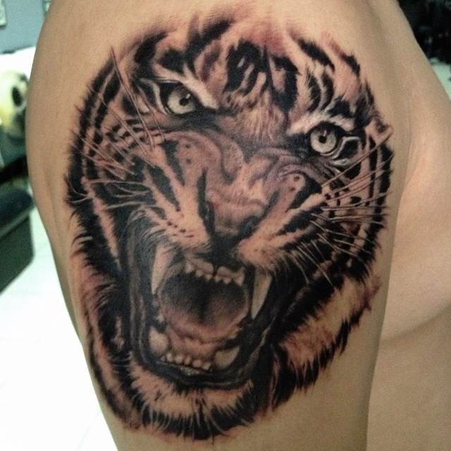 Tatuaje en el brazo, hocico de tigre enojado