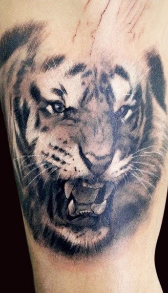Schwarze Tinte Tattoo von brüllendem Tiger