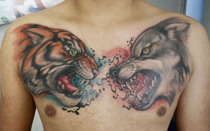 Tattoo mit Tiger und Wolf an der Brust
