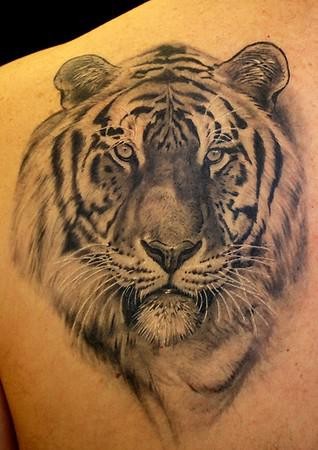 Tattoo mit realistischem schwarzem Tigerkopf