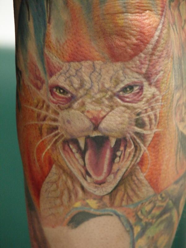 Erschreckend aussehendes farbiges Ellbogen Tattoo mit böser Sphynx Katze