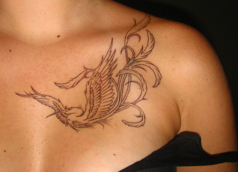 Tatuaje en el pecho, pájaro, hojas, descolorido