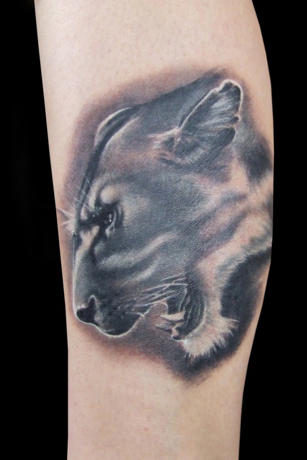 Lioness head tattoo on  leg