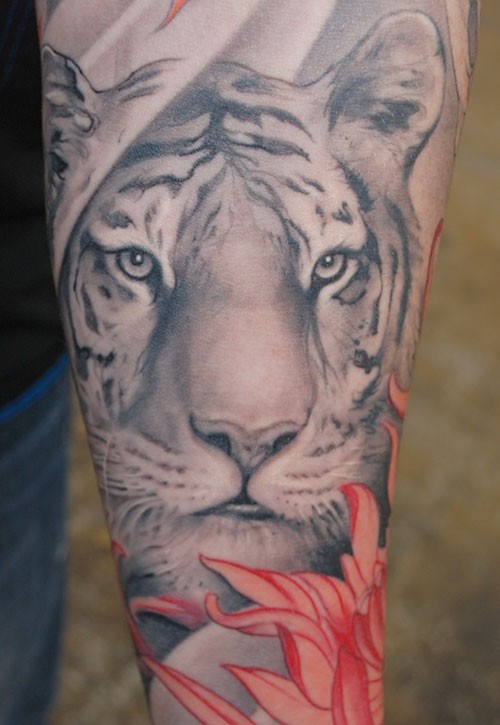 Tatuaje en el antebrazo, tigre blanco adorable
