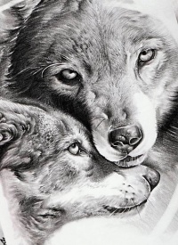 Wolf tattoo designs - Page 16 - Tattooimages.biz