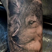 Tatuaje en el brazo, lobo de perfil