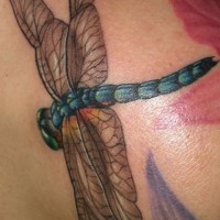 Tatuaje de la libélula azul con alas grises