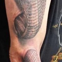 3d cobra serpente da sotto pelle tatuaggio