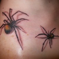 3d coloured spiders tattoo