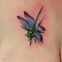 Tatuaje  de la libélula  volimétrica