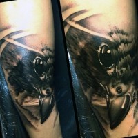 3D schwarzer und weißer realistischer Adlerkopf Tattoo am Unterarm