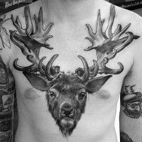 3D like black ink large chest tattoo of deer head
