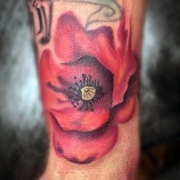Tatuaje en la muñeca, flor roja  exquisita