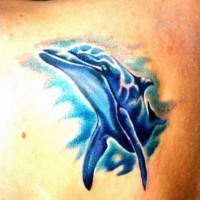 3D like little colored dolphin tattoo on shoulder