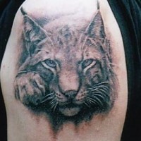 3D like nice painted 3D big wild cat tattoo on shoulder