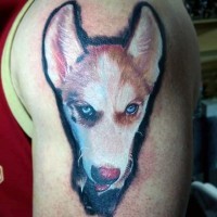 3D like very realistic colorful dog tattoo on upper arm