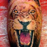 La face de lion le tatouage sur la jambe