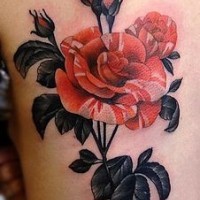 3D realistic big colored rose tattoo on back