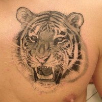 3D realistic big detailed roaring tiger tattoo on chest