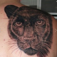 Tatuaje en el hombro, cara grande de pantera negra