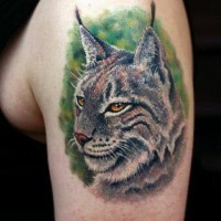 3D realistic colored photo like wild cat tattoo on shoulder
