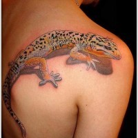 3d realistic colorful lizard tattoo on shoulder blade