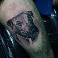 Tatuaje en el muslo,  retrato de perro bonito