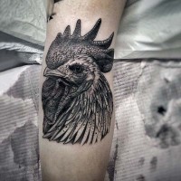 3D realistico dettagliato nero e bianco testa di gallo tatuaggio su braccio
