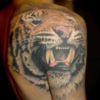 3d realistic detailed tiger tattoo on shoulder