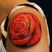 3D realistic detailed usual colored big rose tattoo on shoulder