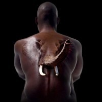 3D realistico elefante tatuaggio sulla schiena