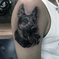 3D realistic German Shepard's portrait tattoo on upper arm