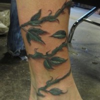 3d realistic green vine ankle tattoo