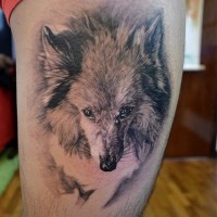 Tatuaje en el muslo,  zorro bonito gris detallado