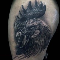 Tatuaje en el muslo,  gallo volumétrico realista bien dibujado