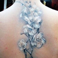Tatuaje en la espalda, flores delicadas blancas en la ramita