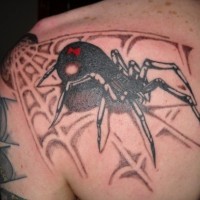3D realistic multicolored big spider with spider web tattoo on shoulder