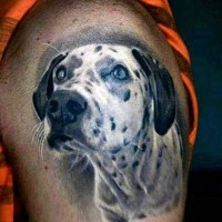 3D realistic naturally colored Dalmatian dog tattoo on arm top