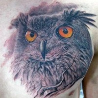 3d realistic owl tattoo on chest