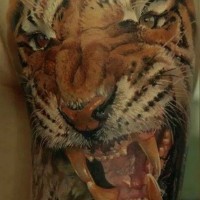 3D testa tigre realistico tatuaggio