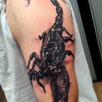 3D realistic very detailed massive black scorpion shoulder tattoo
