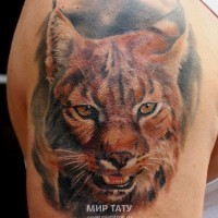 3D realistic very detailed wild cat tattoo on shoulder