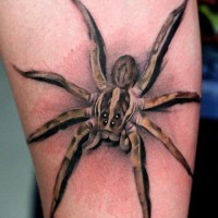 3d spider tattoo on leg