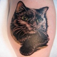 Estilo 3D incrível procurando tatuagem de gato lindo