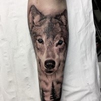 Estilo 3D linda tatuagem perna olhando de lobo com olhos azuis